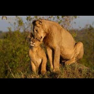 Meet your Posher, Dallas